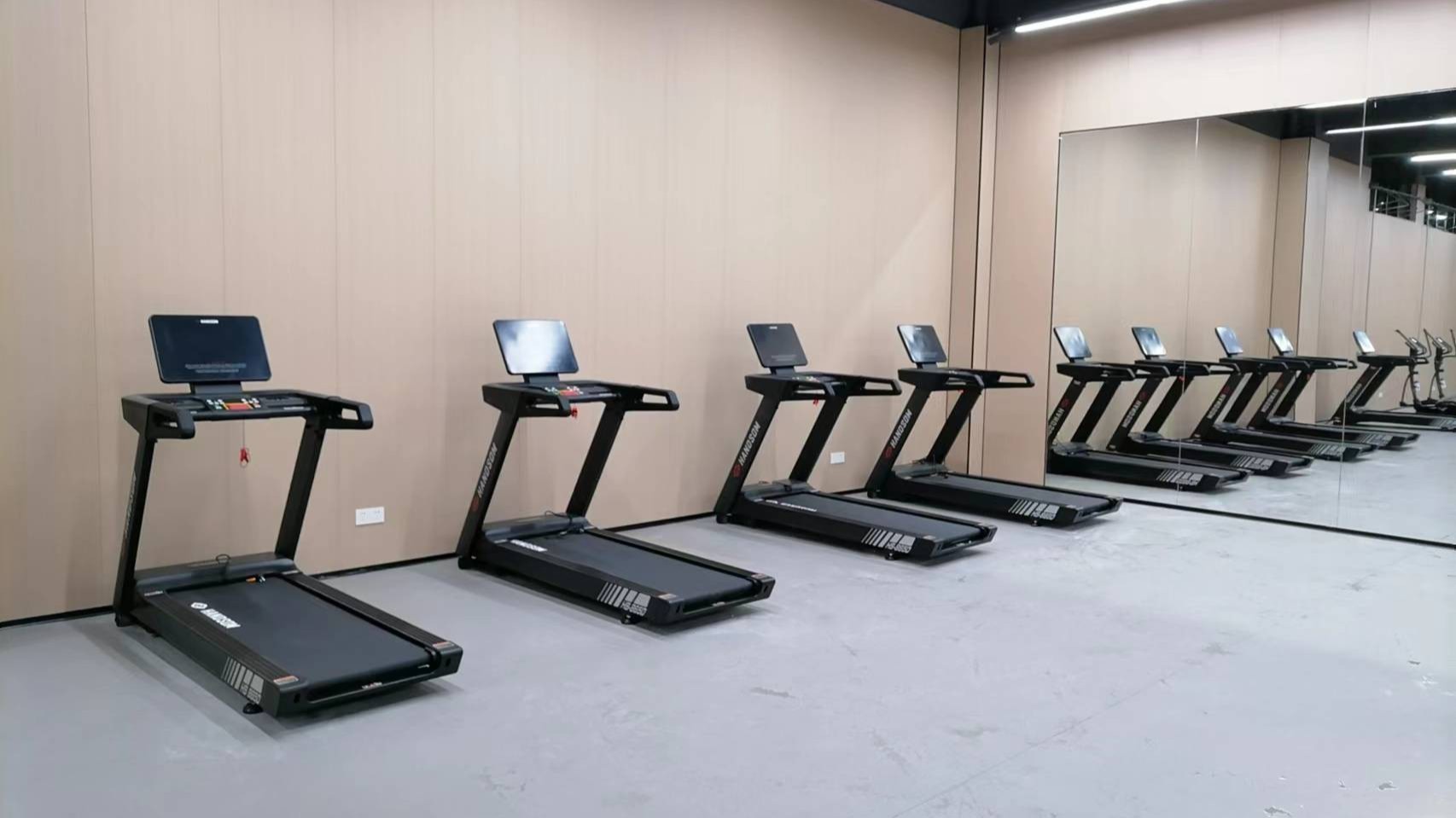 2025年室内健身器材发展现状